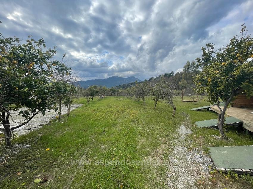 Dalyan'da 11.000M2 Arsa İçerisinde Satılık Butil Otel Ve Bungalov