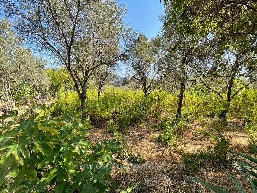 Çandır'da Kanala Sıfır 2765M2 Satılık Müstakil Ev