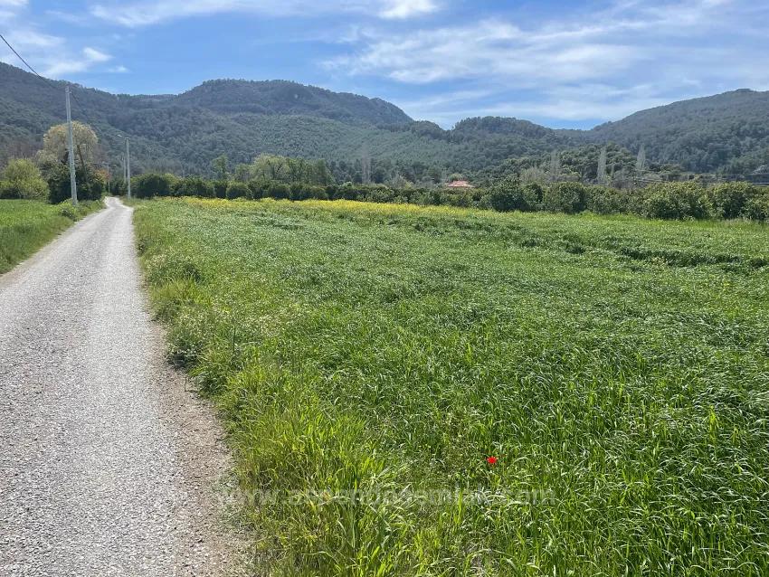 Okçular'da 736M2 Olan 250M2 İnşaat İzinli Satılık Arsa
