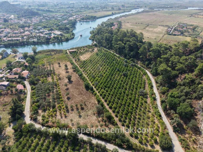 Köyceğiz Çandır Mahallesinde kanala sıfır 20.000m2 satılık tarla