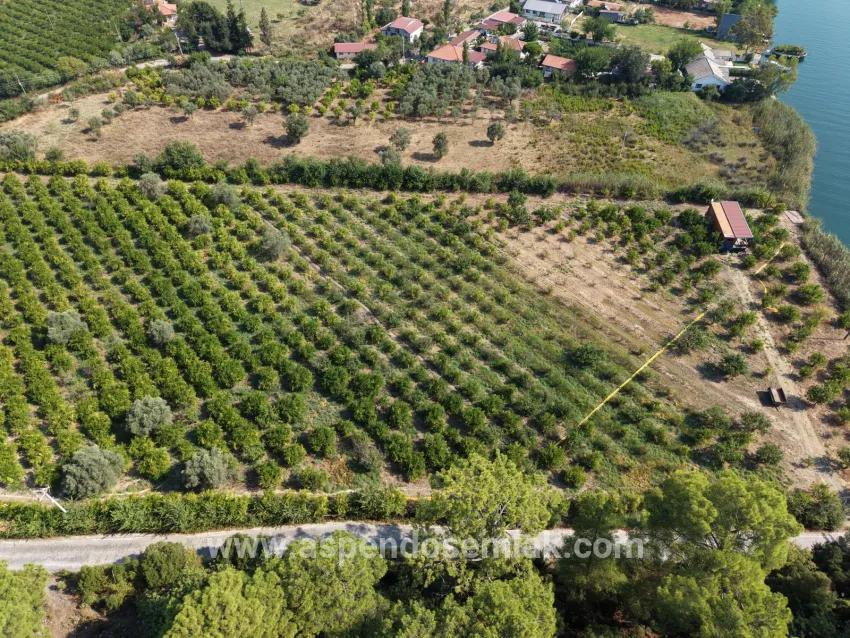 Köyceğiz Çandır Mahallesinde kanala sıfır 20.000m2 satılık tarla