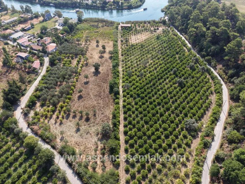 Köyceğiz Çandır Mahallesinde kanala sıfır 20.000m2 satılık tarla