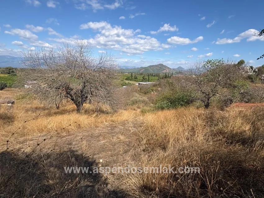 Ortaca Dalyan Mah. Satılık Tarla - Tarla İmar Durumlu - 5.000 m²