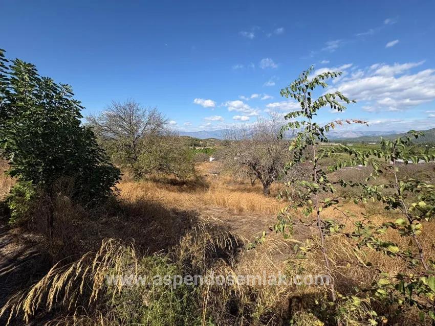 Ortaca Dalyan Mah. Satılık Tarla - Tarla İmar Durumlu - 5.000 m²
