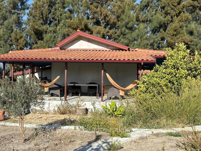 Eskiköy'de 19.663M2 Çiftlik Arazisi Ve Ev