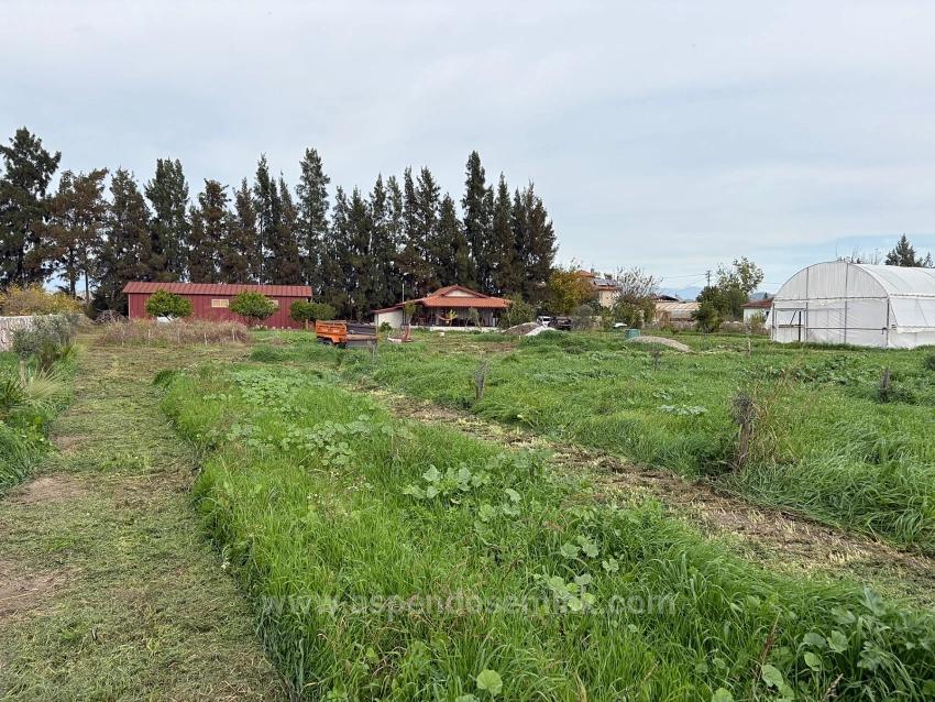 Eskiköy'de 19.663M2 Çiftlik Arazisi Ve Ev