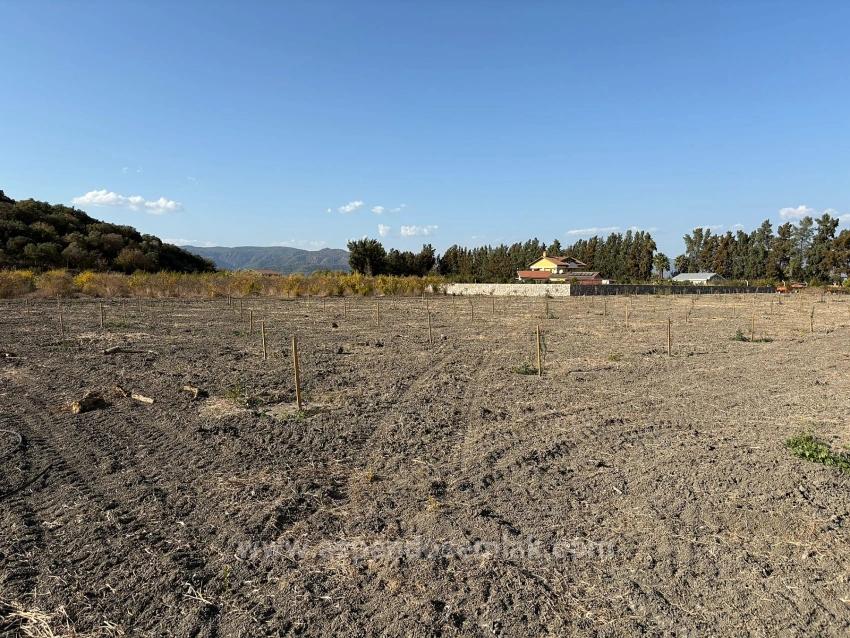 Eskiköy'de 19.663M2 Çiftlik Arazisi Ve Ev