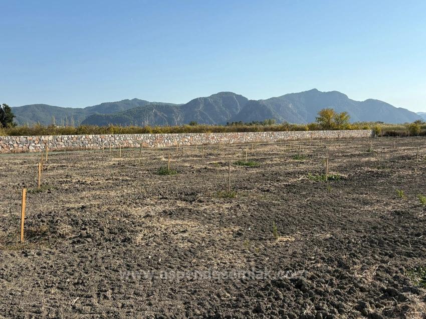 Eskiköy'de 19.663M2 Çiftlik Arazisi Ve Ev