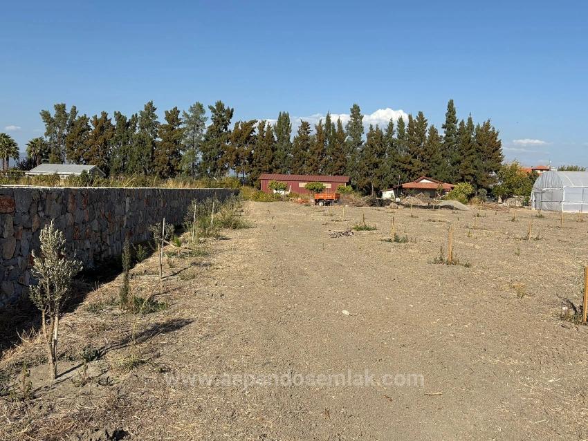 Eskiköy'de 19.663M2 Çiftlik Arazisi Ve Ev