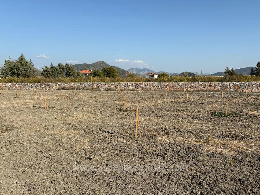 Eskiköy'de 19.663M2 Çiftlik Arazisi Ve Ev