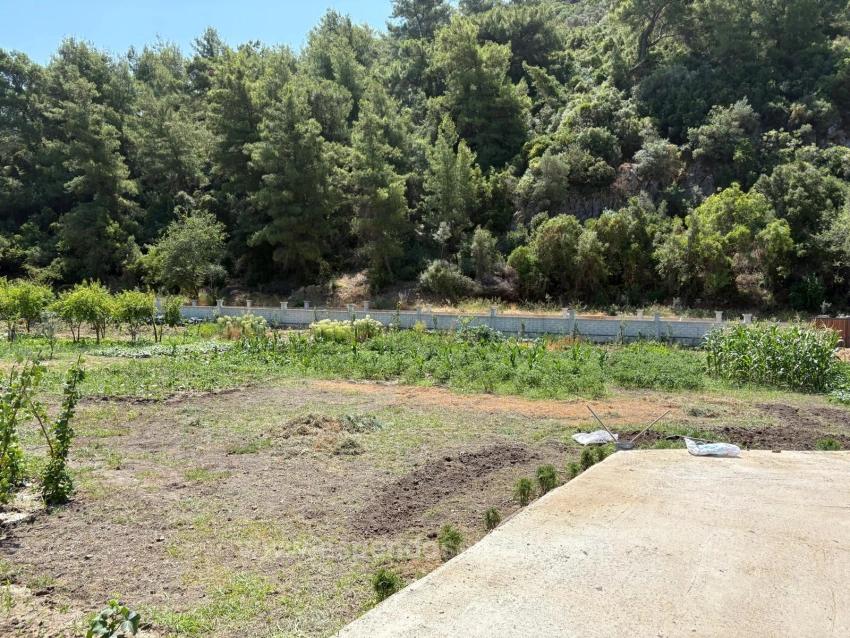 Dalyan Karadağ Mevkiinde 2500M2 Tarla İçerisinde 120M2 Müstakil Ahşap Ev