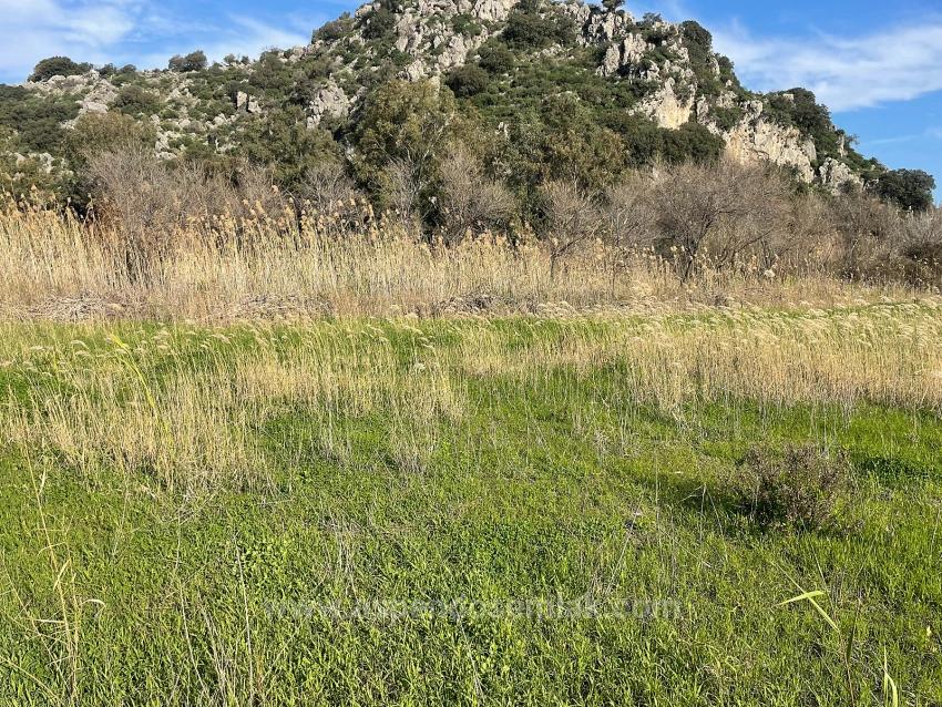 Dalyan'da 6800 M2 %5 Konut İmarlı Satılık Arsa