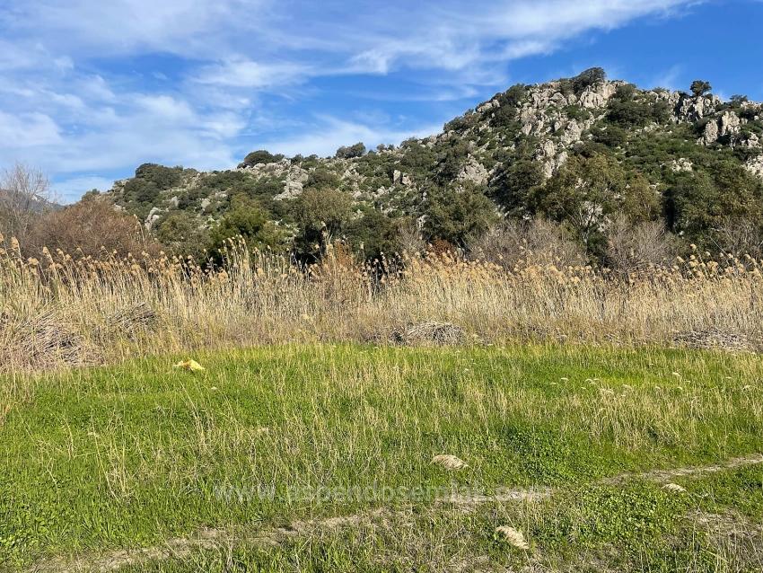 Dalyan'da 6800 M2 %5 Konut İmarlı Satılık Arsa