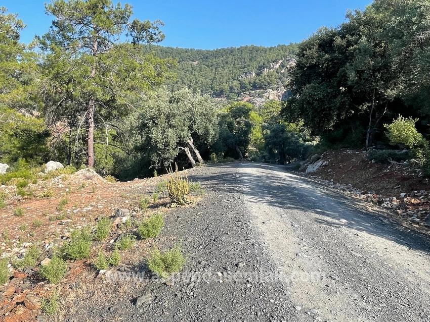 Köyceğiz Çandır Mah. Satılık Tarla - Konut İmar Durumlu - 10.481 m²