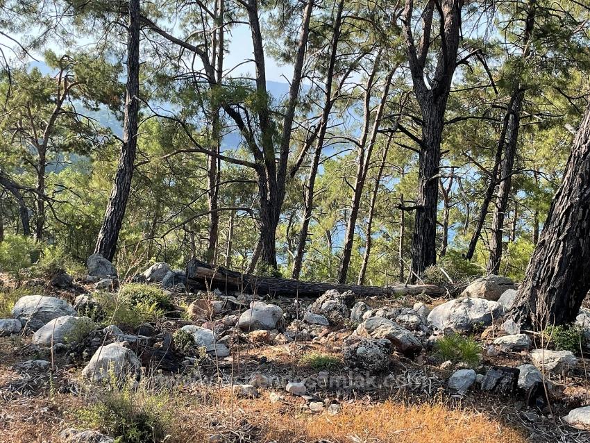 Ekincik Çandır Arasın'da Deniz Manzaralı Kelepir Emlak Satılık Arsa