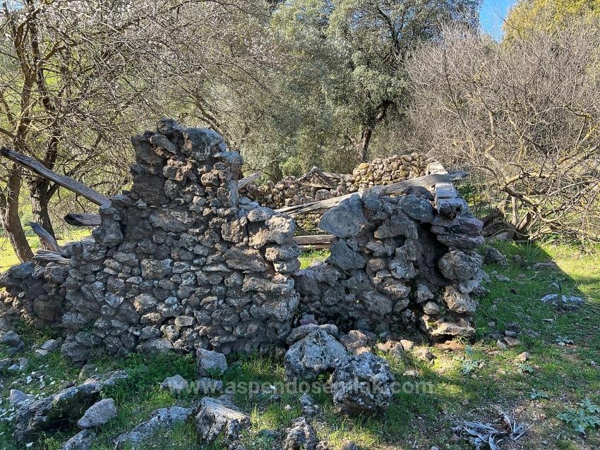 Gökbel'de Doğa Ve Orman İçerisinde Satılık Tarla