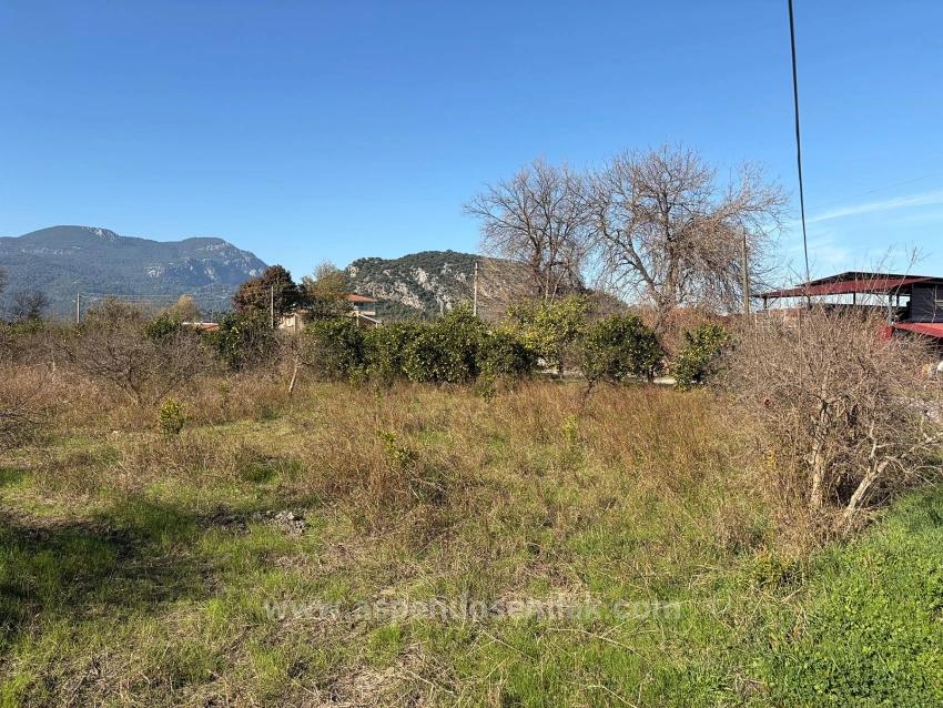 Dalyan'da 4.541M2 Satılık Bahçe