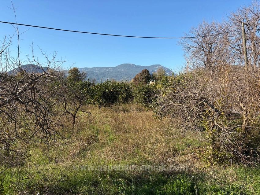 Dalyan'da 4.541M2 Satılık Bahçe