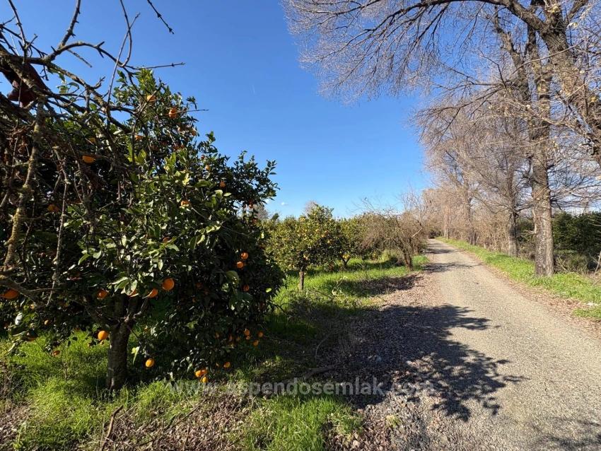 Okçular'da Yerleşik Alanında 4,326M2 Satılık Arsa