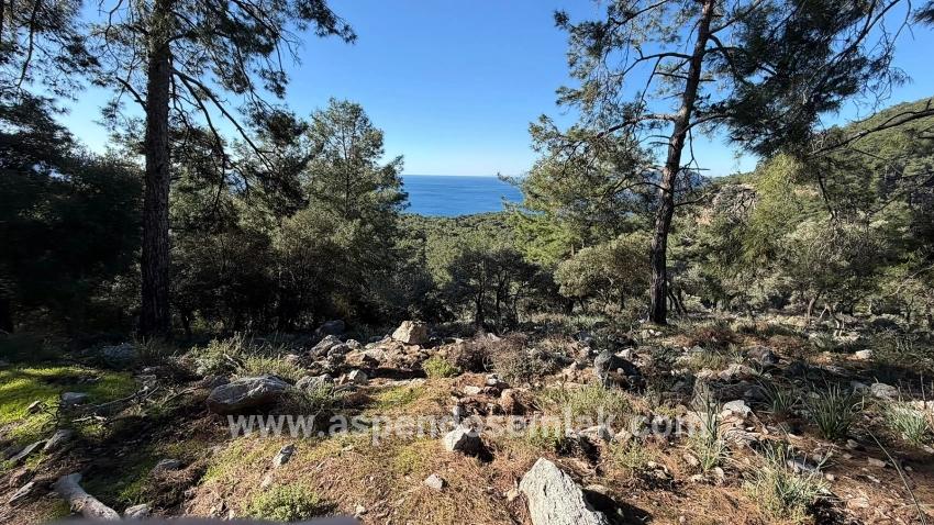 Köyceğiz Çandır Mah. Satılık Tarla - Konut İmar Durumlu - 5.715 m²