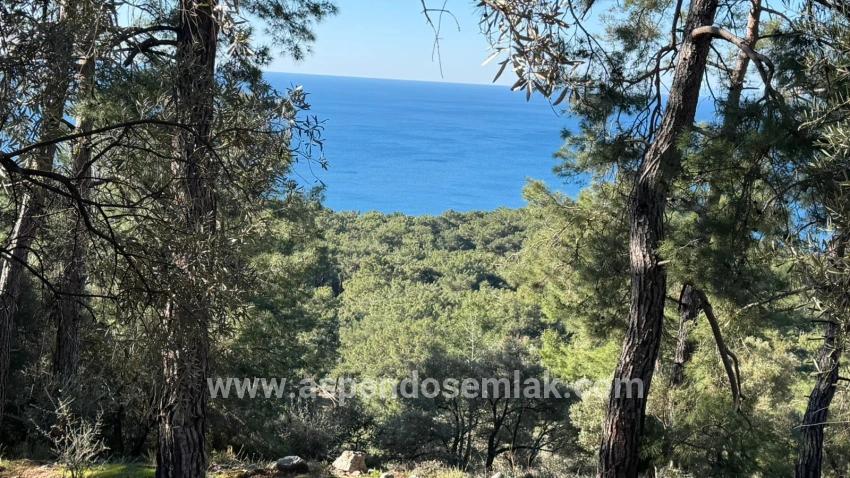 Köyceğiz Çandır Mah. Satılık Tarla - Konut İmar Durumlu - 5.715 m²