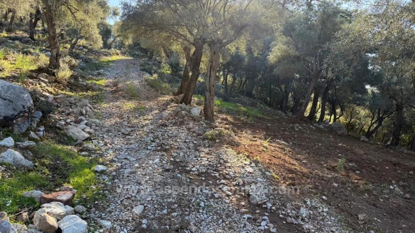 Çandır'da Full Deniz Manzaralı 5715M2 Satılık 2B Tarla