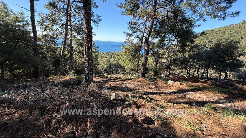 Köyceğiz Çandır Mah. Satılık Tarla - Konut İmar Durumlu - 5.715 m²