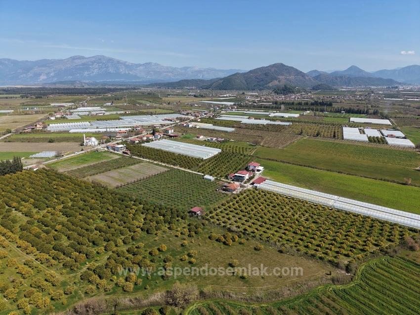 Dalyan Merkeze Yakın 17.550M2 Satılık Bağ-Bahçe