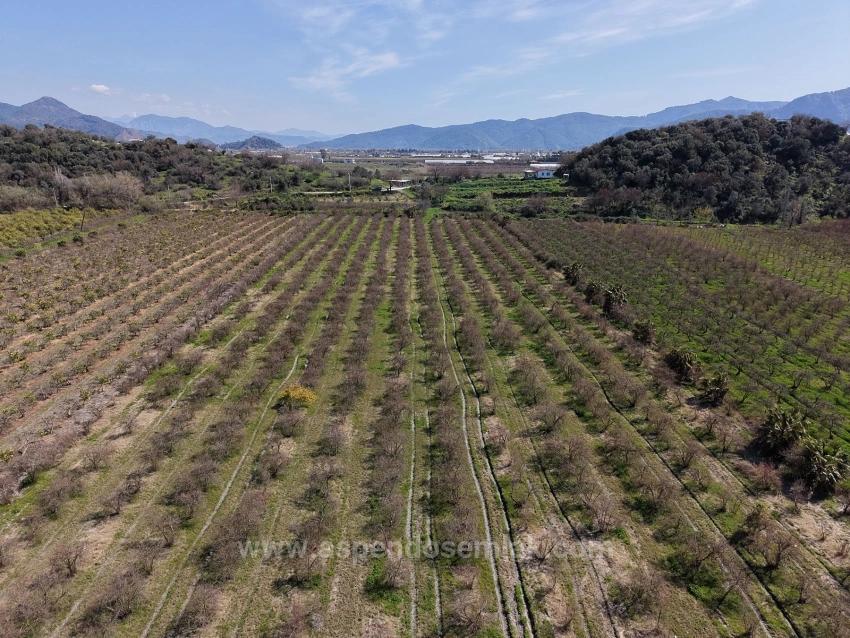 Eskiköy'de Göl Manzaralı 16.710M2 Satılık Nar Bahçesi