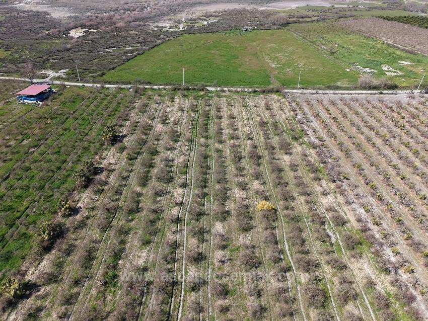 Eskiköy'de Göl Manzaralı 16.710M2 Satılık Nar Bahçesi