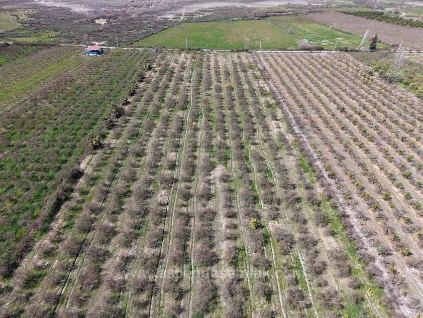 Eskiköy'de Göl Manzaralı 16.710M2 Satılık Nar Bahçesi