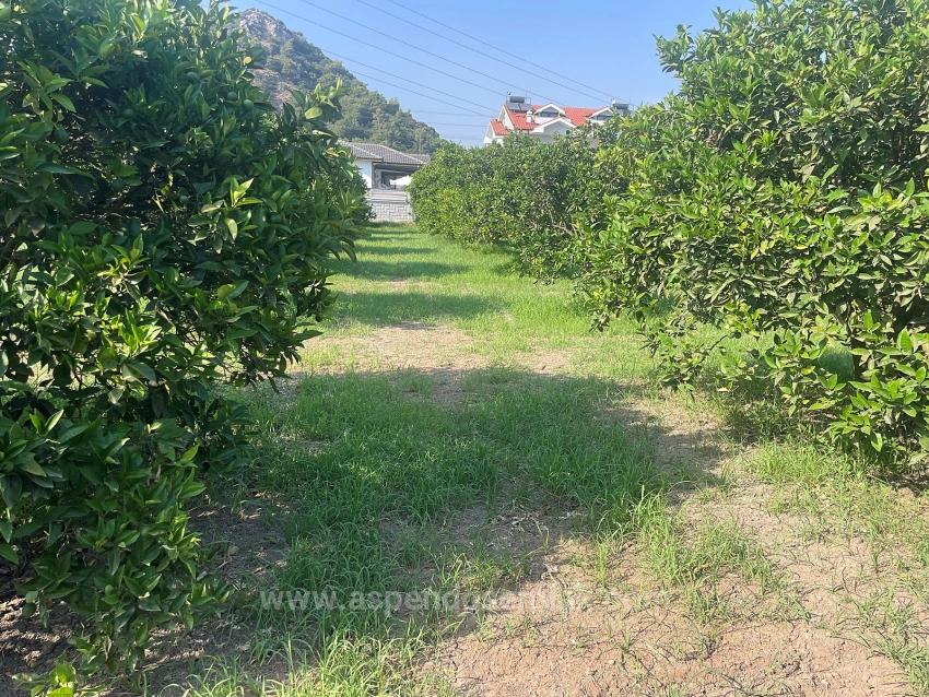 Dalyan Gülpınar'da 722M2 Satılık Arsa