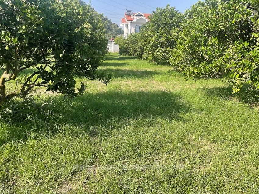 Dalyan Gülpınar'da 722M2 Satılık Arsa