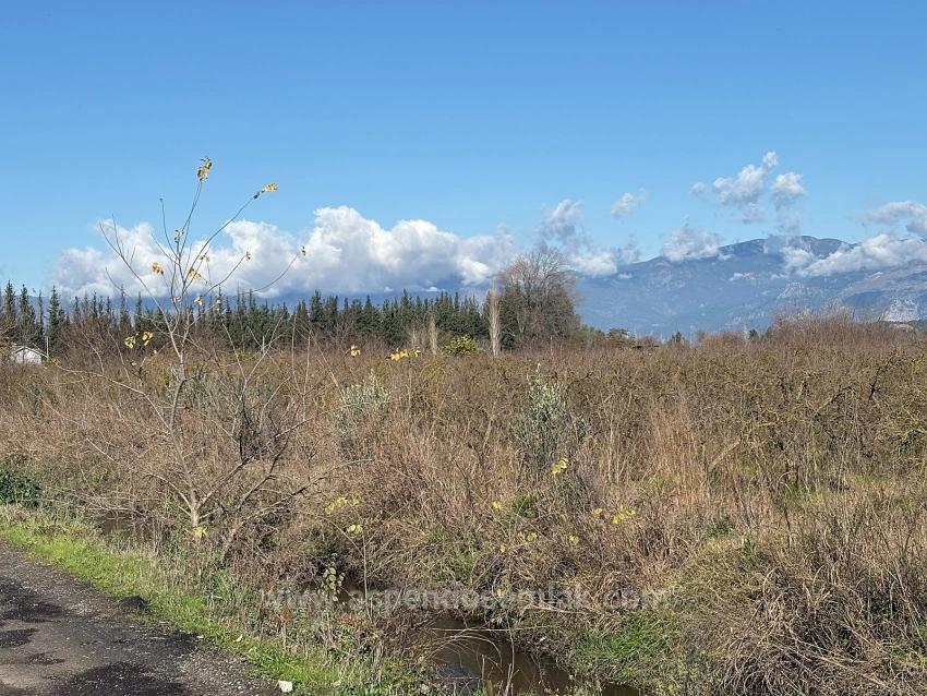 Tepearası'nda 23000M2 Müstakil Satılık Tarla