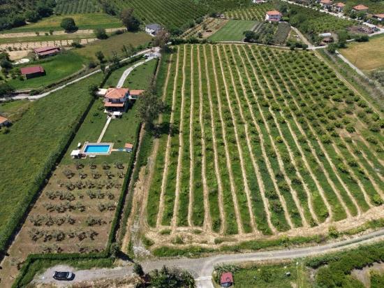 Dalyan Merkeze Yakın 5100M2 Satılık Tarla
