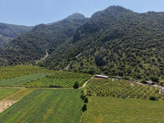 Dalyan Merkeze Yakın 5100M2 Satılık Tarla