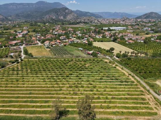 Dalyan Merkeze Yakın 5100M2 Satılık Tarla