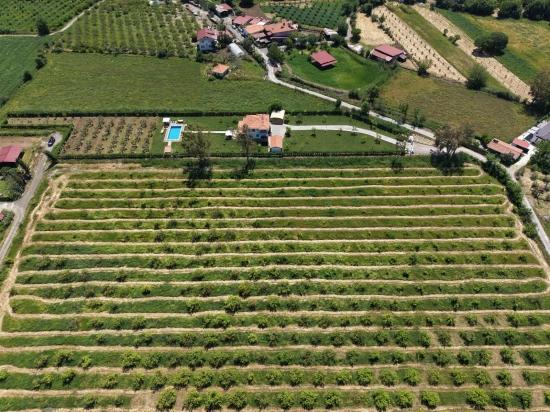 Dalyan Merkeze Yakın 5100m2 Satılık Tarla