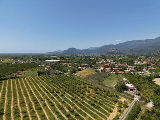 Dalyan Merkeze Yakın 5100m2 Satılık Tarla