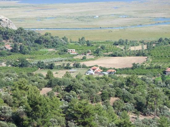 Köyceğiz Çandır'da 19.334m2 Satılık Tarla