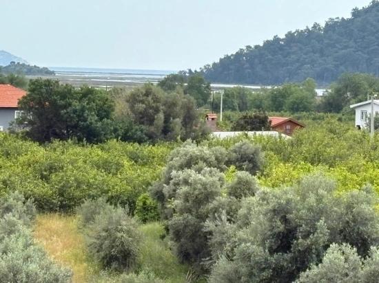 Çandır Köyünde Deniz Ve Göl Manzaralı 1,721M2 Satılık Tarla