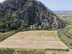 Ortaca Dalyan Mah. Satılık Tarla - Tarla İmar Durumlu - 20.786 m²