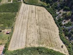 Ortaca Dalyan Mah. Satılık Tarla - Tarla İmar Durumlu - 20.786 m²