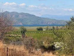 Ortaca Dalyan Mah. Satılık Tarla - Tarla İmar Durumlu - 5.000 m²