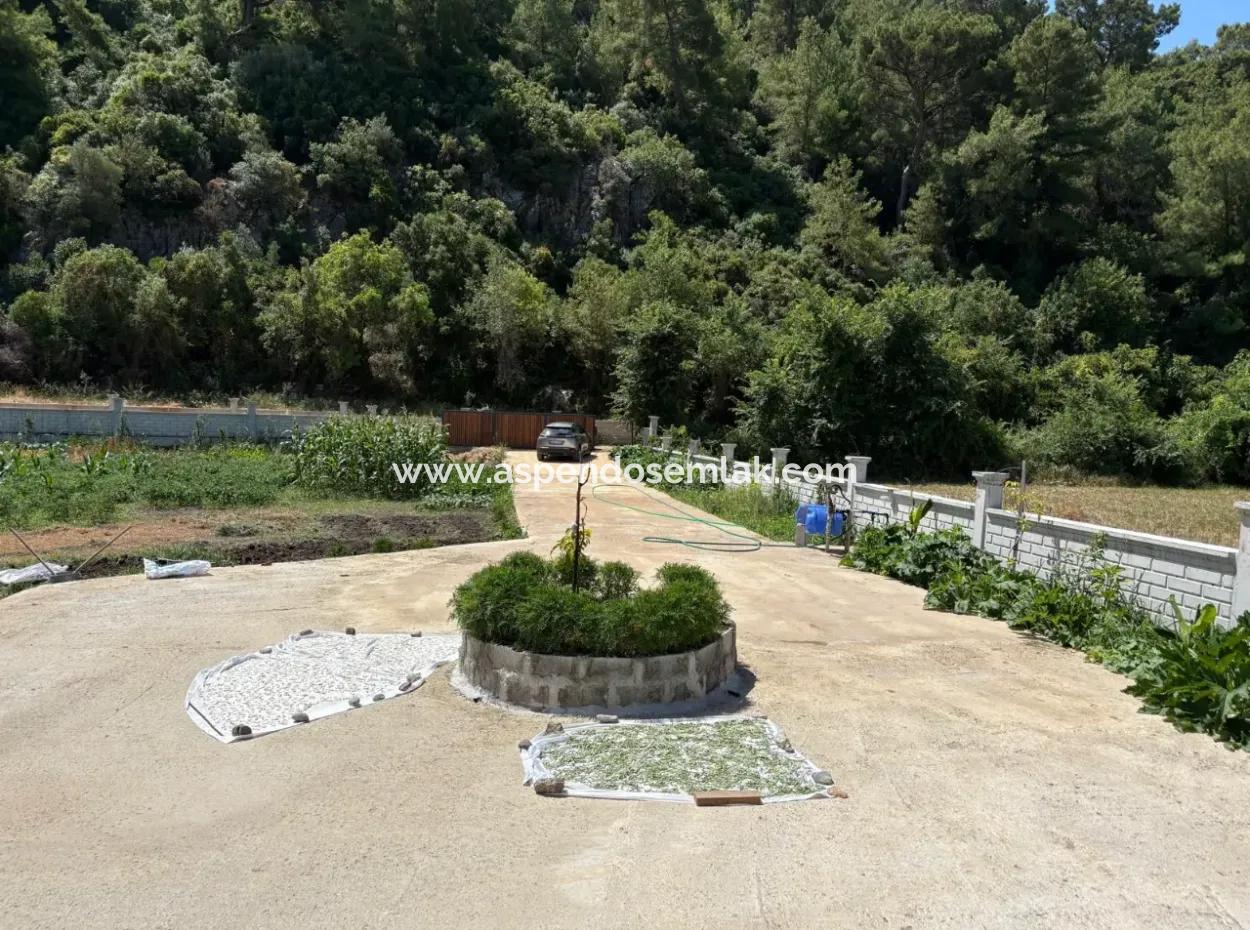 Dalyan Karadağ Mevkiinde 2500M2 Tarla İçerisinde 120M2 Müstakil Ahşap Ev