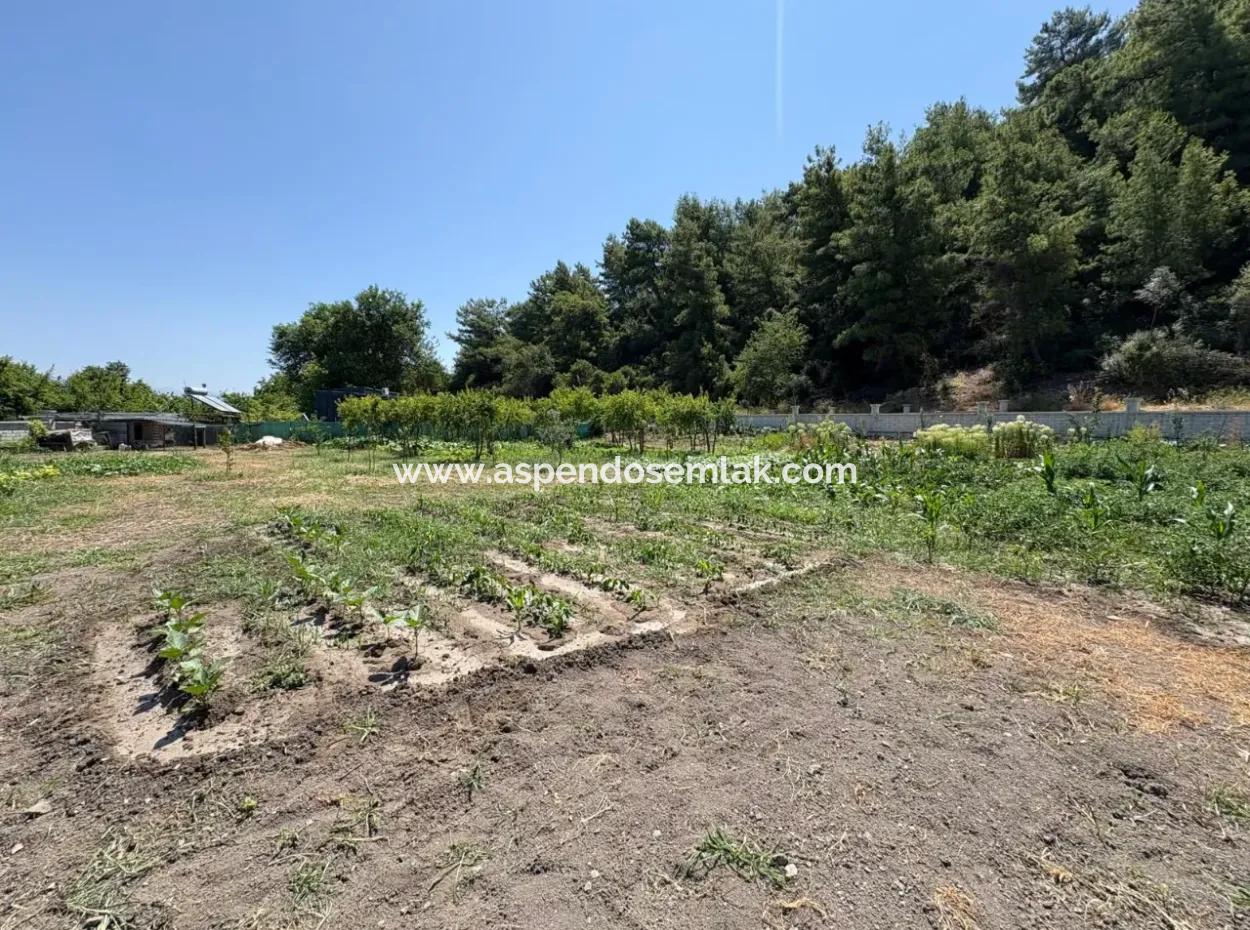 Dalyan Karadağ Mevkiinde 2500M2 Tarla İçerisinde 120M2 Müstakil Ahşap Ev