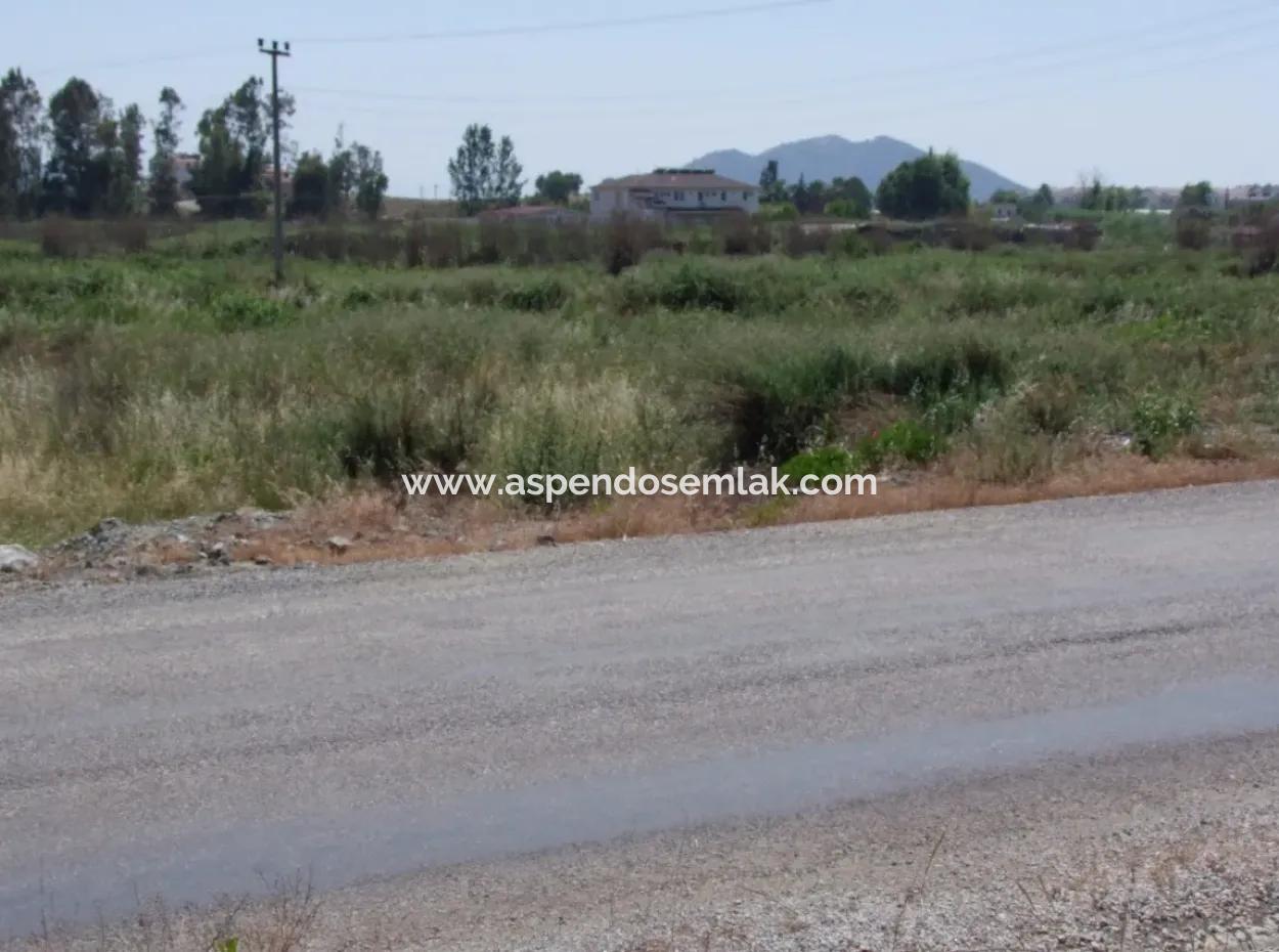 Fethiye Satılık Ticar Arsa Anayola Sıfır 2500M2 Satılık Kelepir Arsa