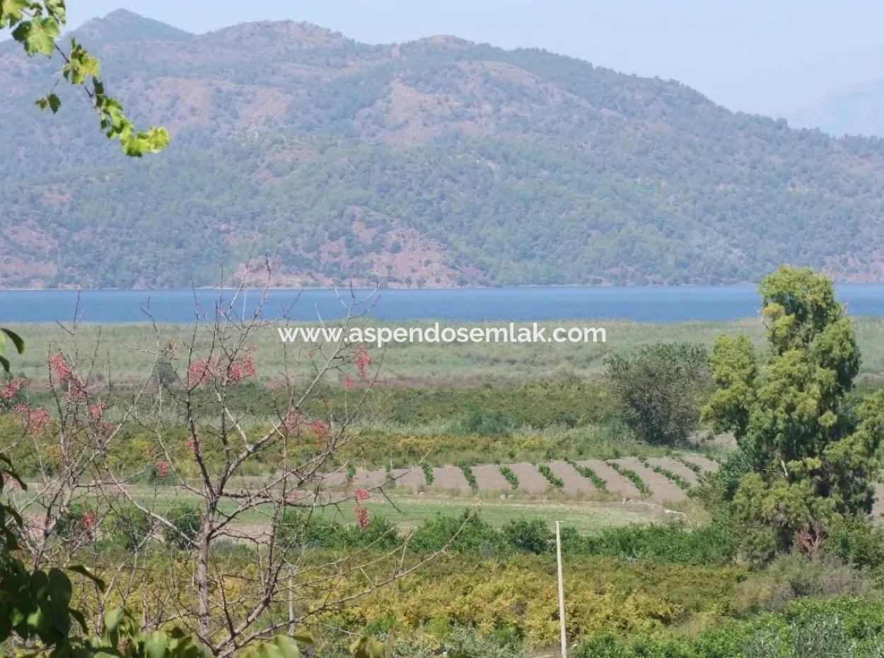 Dalyan Satılık Tarla Dalyan 73410M2 Satılık Tarla