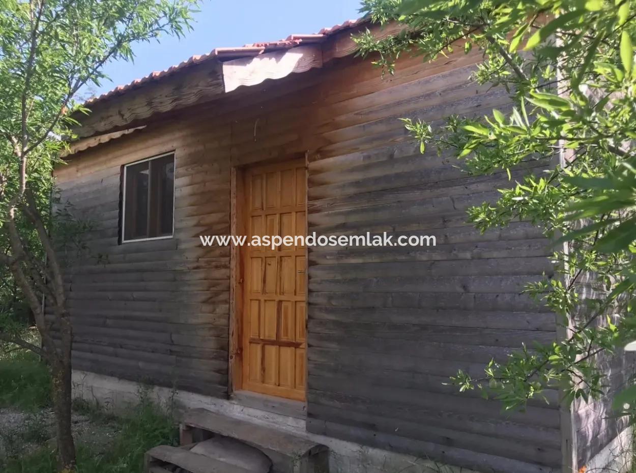 Seydikemer Korubükün Satılık 76000M2 Ciftlik Arazisi