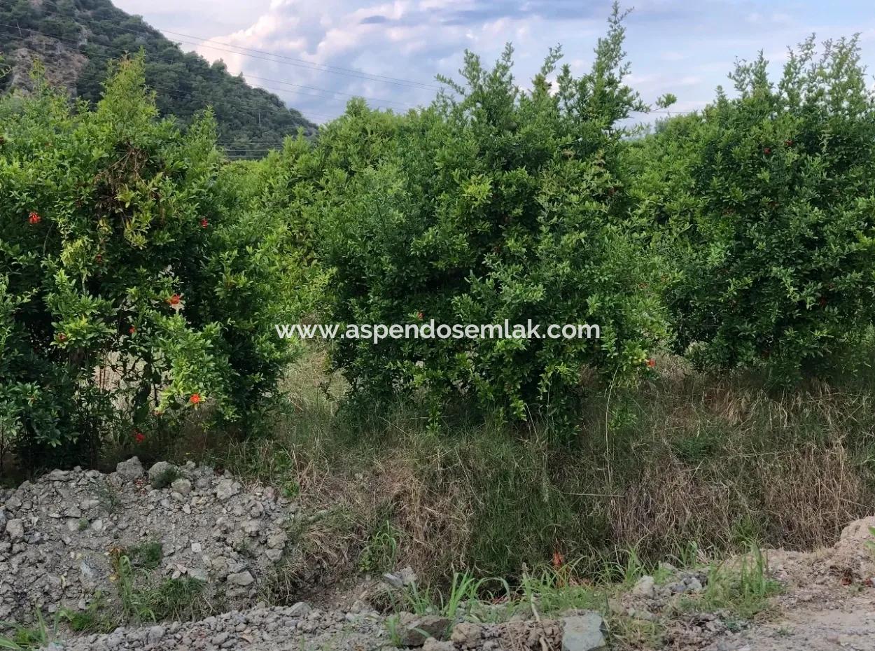 Dalyan Satılık Arsa Gülpınar 722M2 Satılık Arsa